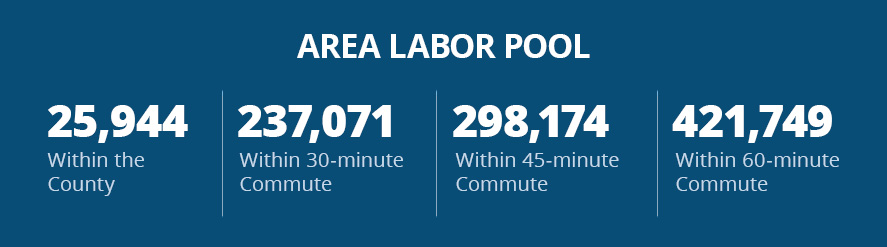 Area Labor Pool infographic